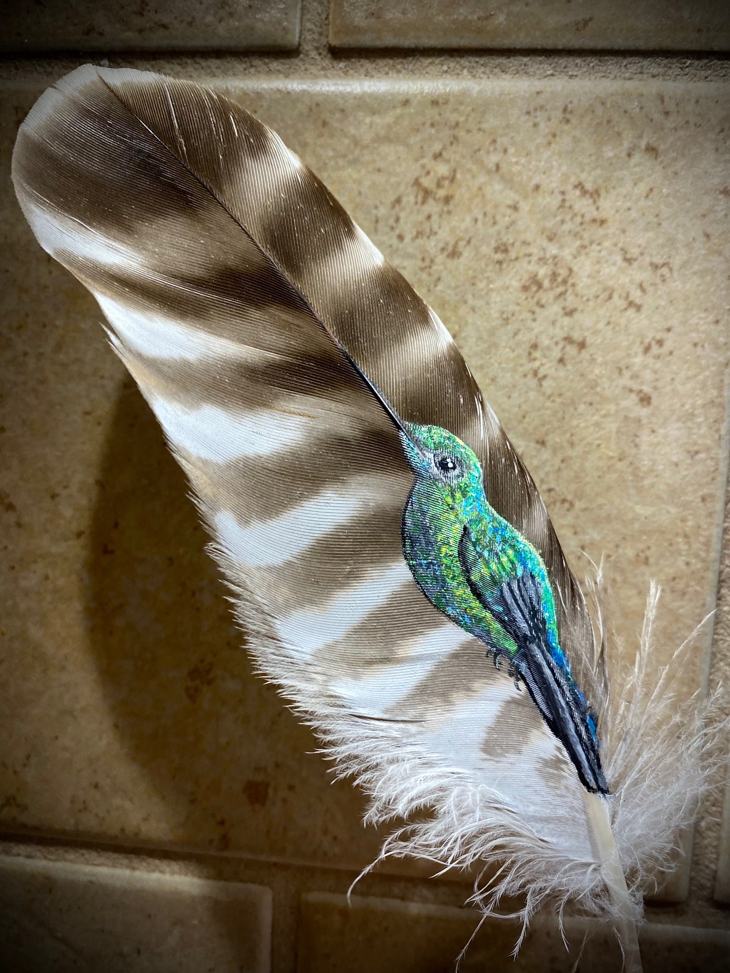 Painted Feather