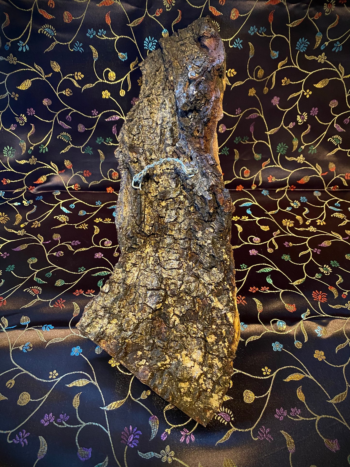 Tree Bark Art