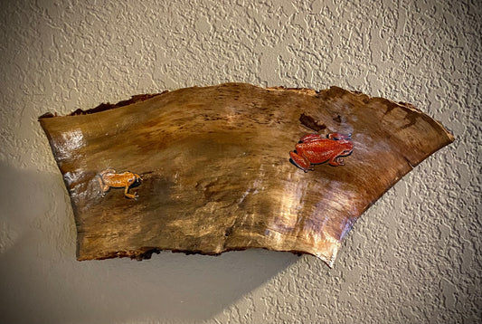 Tree Bark Art